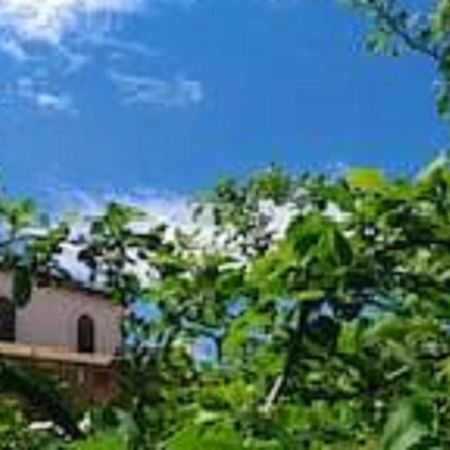 Il Gelsomino Home Holiday ألكامو المظهر الخارجي الصورة